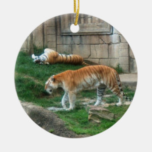 Ornement En Céramique Série d'espèce menacée de ~ d'ornement de tigre