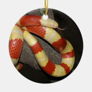 Ornement En Céramique Serpent de lait
