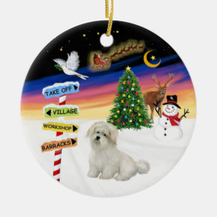 Ornement En Céramique Signes de X Mas- Coton de Tulear