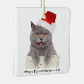 Ornement En Céramique Simple Noël Simple moderne photo de chat (Droite)
