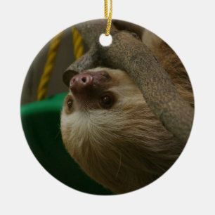 Ornement En Céramique Sloth