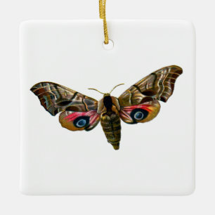 Ornement En Céramique Smerinthus ocellata - Eyed Hawk-Moth - Color Image