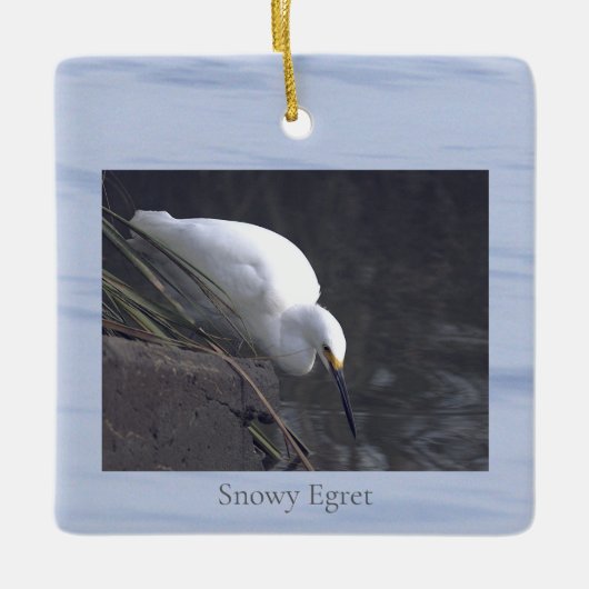 Ornement En Céramique Snowy Egret Bird Photo Ornament (Devant)