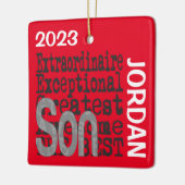 Ornement En Céramique Son Extraordinaire CUSTOM (Gauche)