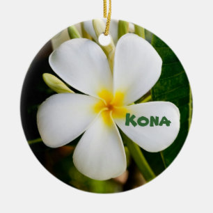 Ornement En Céramique Souvenir de Kona