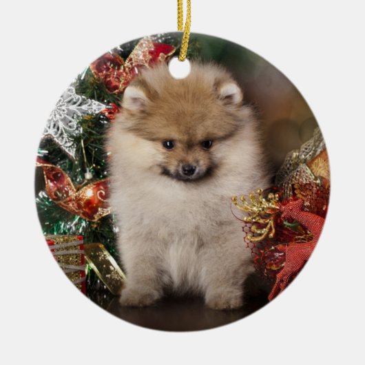 Ornement En Céramique Spitz de Pomeranian, chiot de Noël (Devant)