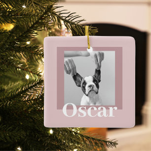 Ornement En Céramique Style moderne et rose   Photo de chien