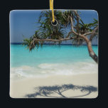 Ornement En Céramique Sunny Tropical Beach Ocean Paradise<br><div class="desc">Un ornement avec une belle photo ensoleillée. Eaux turquoise tropicales bleues de l'océan,  avec une plage de sable blanc. Un arbre tropical en solo offre un endroit agréable pour se détendre et profiter de cet endroit idyllique pittoresque.</div>