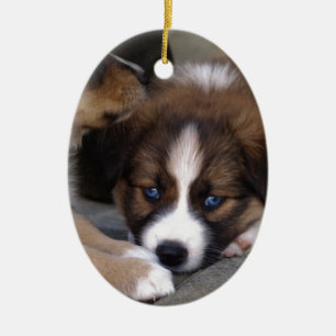 Ornement En Céramique Super mignonne Chien Australien