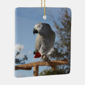 Ornement En Céramique Superbe perroquet gris africain (Droite)