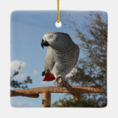 Ornement En Céramique Superbe perroquet gris africain (Dos)