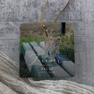 Ornement En Céramique Superposition délicate Photo Animaux de compagnie 