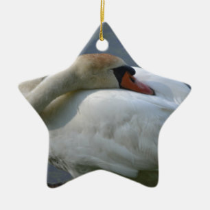 Ornement En Céramique Swan