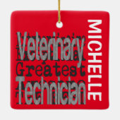 Ornement En Céramique Technicien vétérinaire Extraordinaire CUSTOM (Dos)