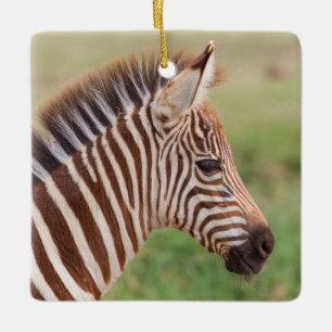 Ornement En Céramique Tête de bébé zébrée, Tanzanie