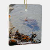 Ornement En Céramique Tidepool at Sand Beach (Droite)