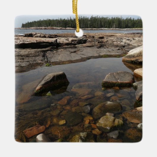 Ornement En Céramique Tidepool au pays des merveilles dans le parc natio (Devant)