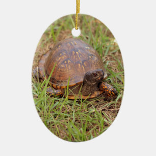 Ornement En Céramique Tortue de boîte orientale (la Caroline du Nord et