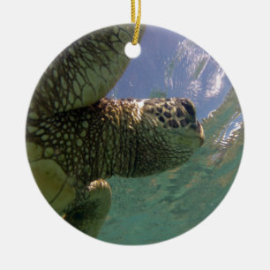Ornement En Céramique Tortue de mer verte d'Hawaï