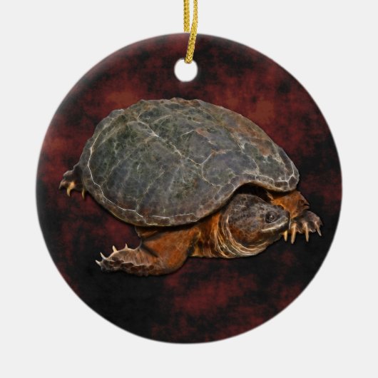 Ornement En Céramique Tortue serpentine Terrapin-lover Cadeau (Devant)