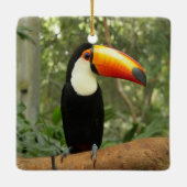 Ornement En Céramique Toucan sur branche d'arbre (Dos)