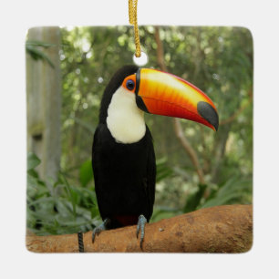 Ornement En Céramique Toucan sur branche d'arbre