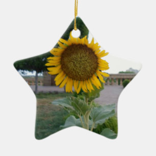 Ornement En Céramique Tournesol