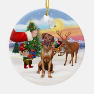 Ornement En Céramique Traite pour un Rhodesian Ridgeback
