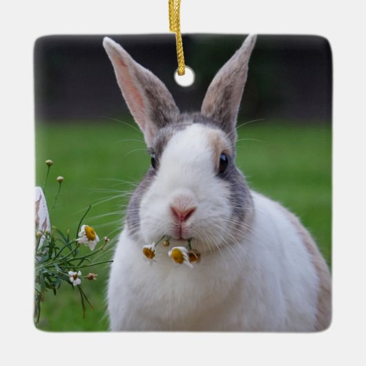 Ornement En Céramique Tri Couleur Néerlandais Nain Mini Lapin Lapin (Devant)