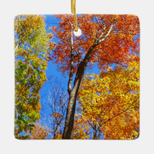 Ornement En Céramique Trois nuances d'érables d'automne colorés