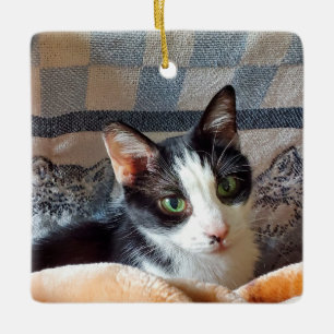 Ornement En Céramique Tuxedo