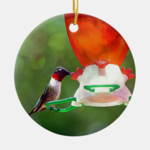 Ornement En Céramique Un colibri à gorge rubis