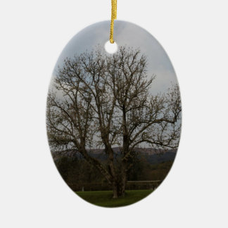 Ornement En Céramique Un vieil arbre au milieu de terrain de jeu et de