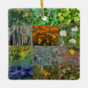 Ornement En Céramique Une floraison californienne : 2021 Color Celebrati