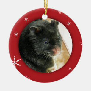 Ornement En Céramique Vacances personnalisées de photo de hamster/anima