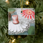 Ornement En Céramique Vintage Waterlily Flowers, Waterlilies in a Pond<br><div class="desc">Vintage illustration botanical nature design featuring pink and white waterlily flowers floating in a pond.</div>