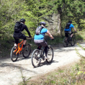 ORNEMENT EN CÉRAMIQUE VTT