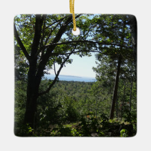 Ornement En Céramique Vue estivale dans le parc national d'Acadia