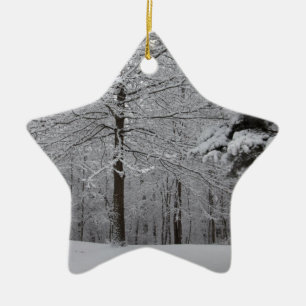 Ornement En Céramique Vue Woods