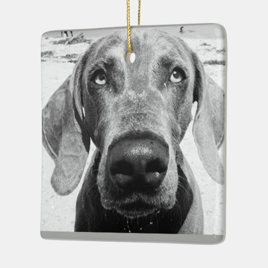 ORNEMENT EN CÉRAMIQUE ***WEIMARANER*** CHRISMAS ORNAMENT (Gauche)
