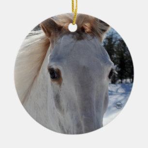 Ornement En Céramique Yeux rouans rouges de cheval