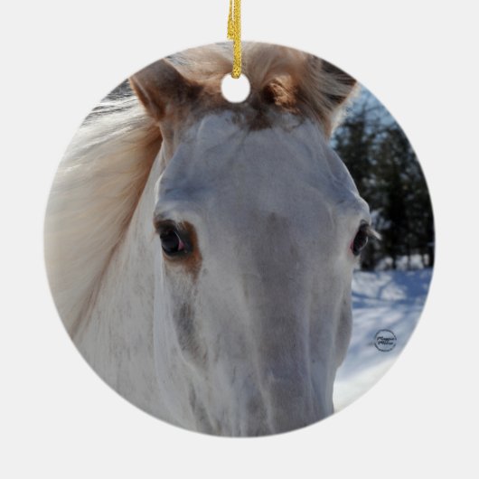 Ornement En Céramique Yeux rouans rouges de cheval (Dos)