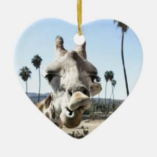 Ornement En Céramique Zoo de San Diego