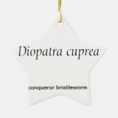 Ornement en forme d'étoile de Noël de ver de (Dos)