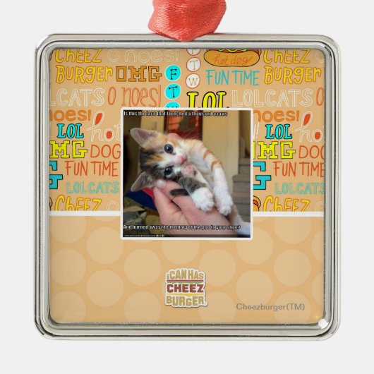 Ornement En Métal Aaaws (Devant)