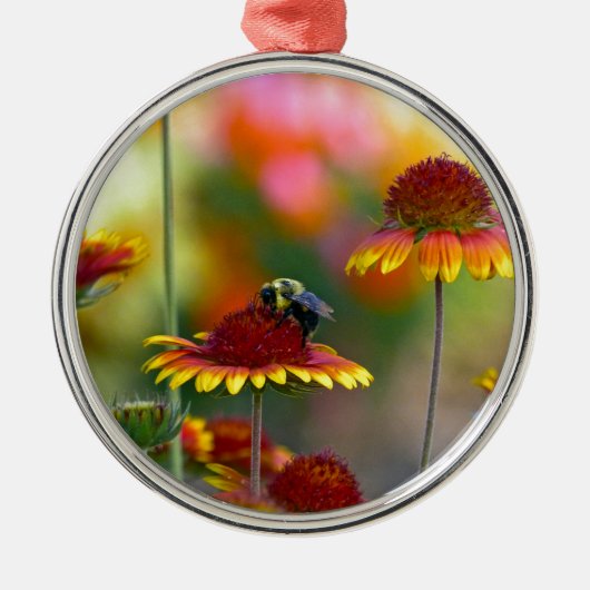 Ornement En Métal Abee sur Gaillardia (Devant)