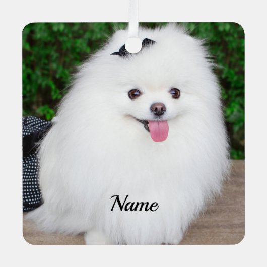 Ornement En Métal Adorable Fluffy White Chien Chien Chien (Recto)