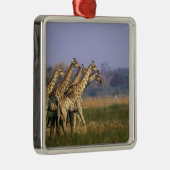 Ornement En Métal Afrique, Botswana, Réserve de jeu de Moremi (Droite)