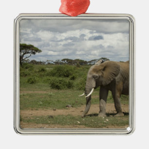 Ornement En Métal Afrique, Kenya, Parc national d'Amboseli, éléphant