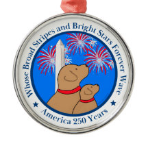 America 250 DC Edition